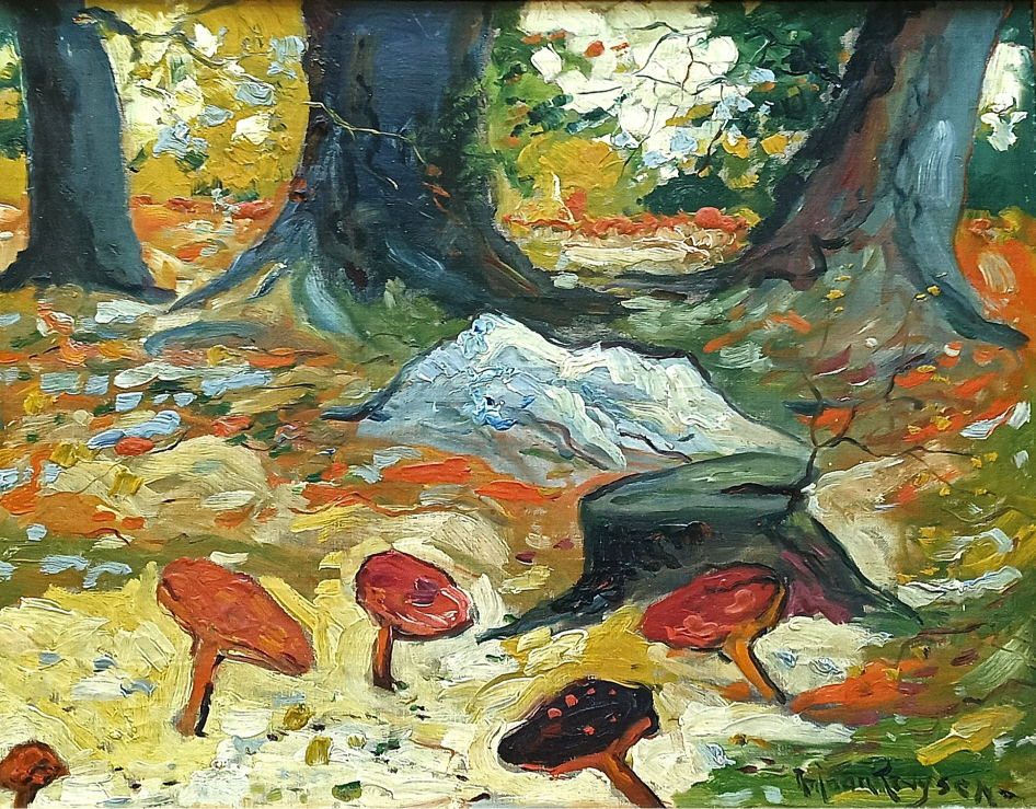 Schoonheid in het bos